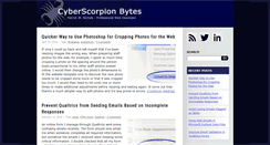 Desktop Screenshot of cyberscorpion.com