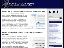 Tablet Screenshot of cyberscorpion.com